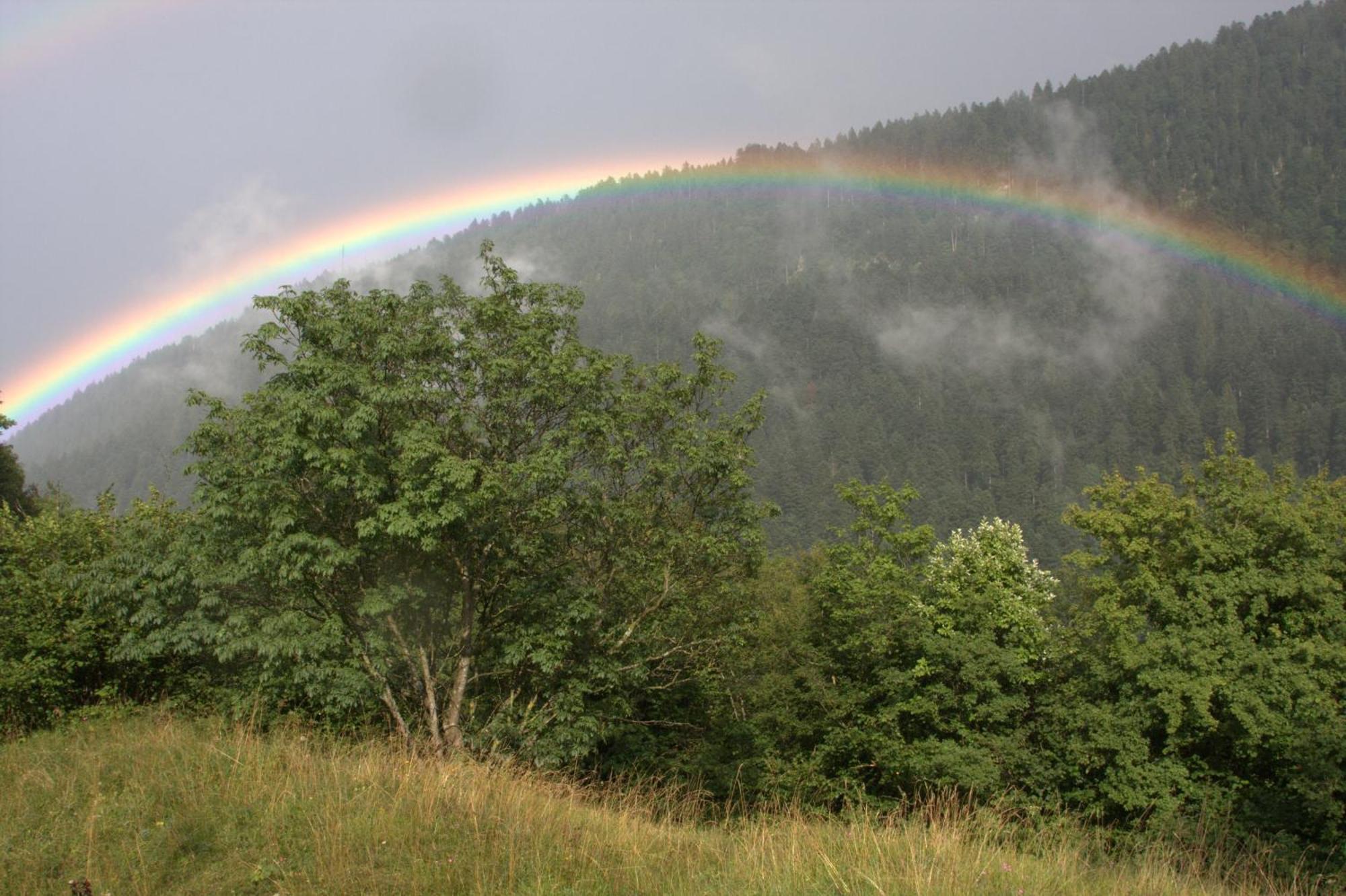 Agriturismo Ai Castioni Molveno Kültér fotó